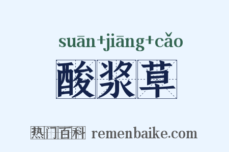 酸浆草是什么意思的图片